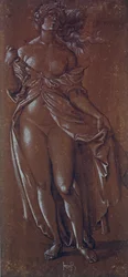 Lucretia
